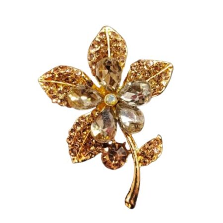 Fashionable Brooch cum Sari Pin for Women or Girls